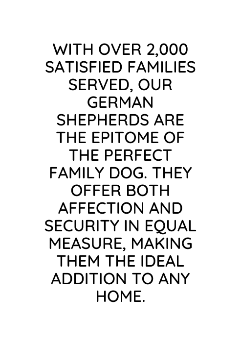 With over 2 000 satisfied families served our German Shepherds are the epitome of the perfect family dog They offer both affection and security in equal measure making them the ideal addition to any home